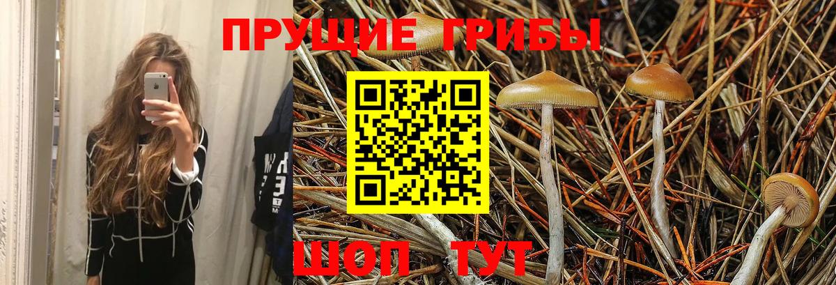 Добрянка  Псилоцибиновые грибы мухоморы  Вход с VPN 